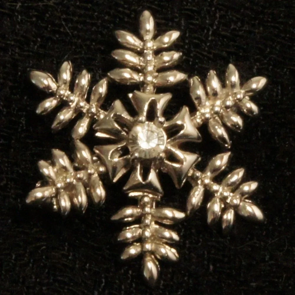 Silver Tone 1
